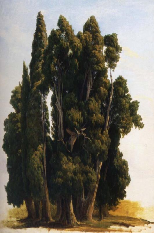 Gustaf Wilhelm Palm Cypresser Student France oil painting art